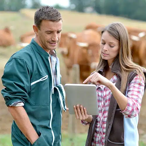 origine-tracabilite_menu boucherie